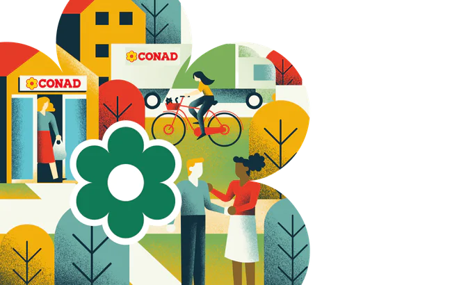 CONAD_Consorzio_AR-Separatori-2.png